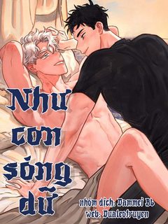 nhu-con-song-du-full-.jpg